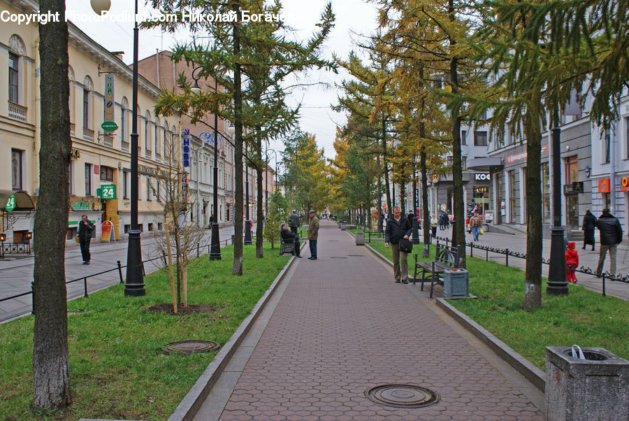 Building, Housing, Villa, Path, Sidewalk, Walkway, Road