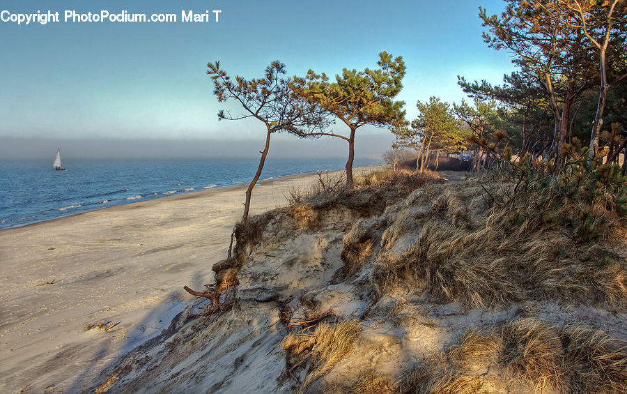 Beach, Coast, Outdoors, Sea, Water, Landscape, Nature