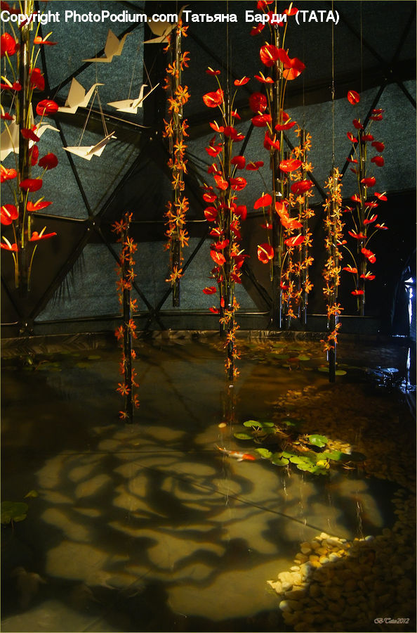 Outdoors, Pond, Water, Flower Arrangement, Ikebana, Plant, Potted Plant