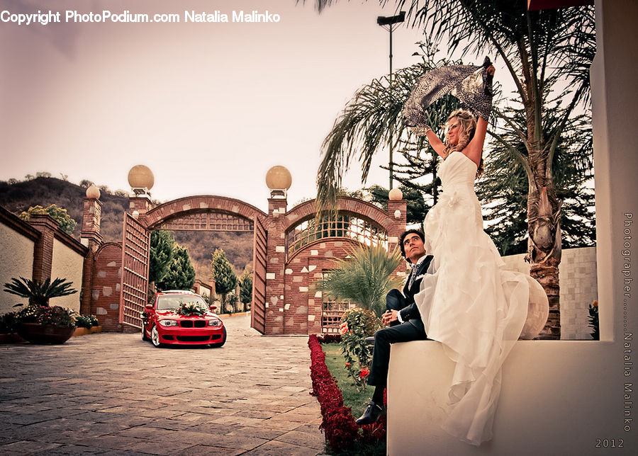 People, Person, Human, Plant, Potted Plant, Bride, Gown