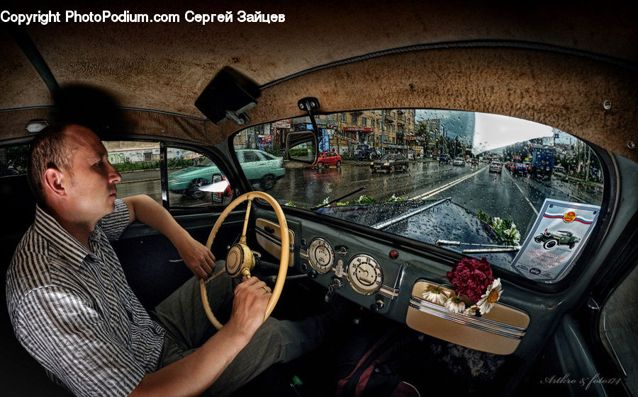 People, Person, Human, Car, Driving, Automobile, Vehicle