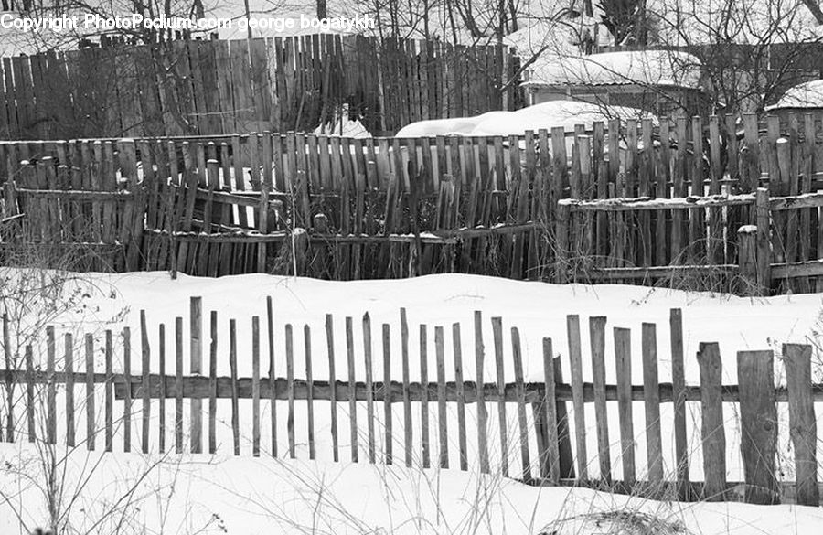 Fence, Forest, Vegetation, Grove, Land