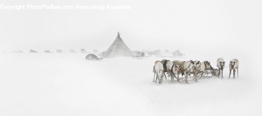 Car, Wagon, Drawing, Sketch, Arctic, Snow, Winter
