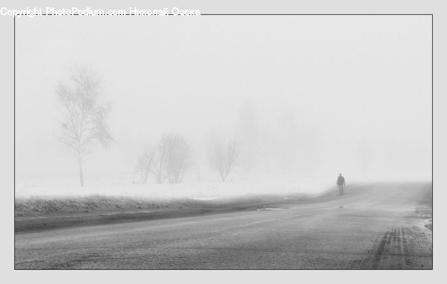 Blizzard, Outdoors, Snow, Weather, Winter, Fog