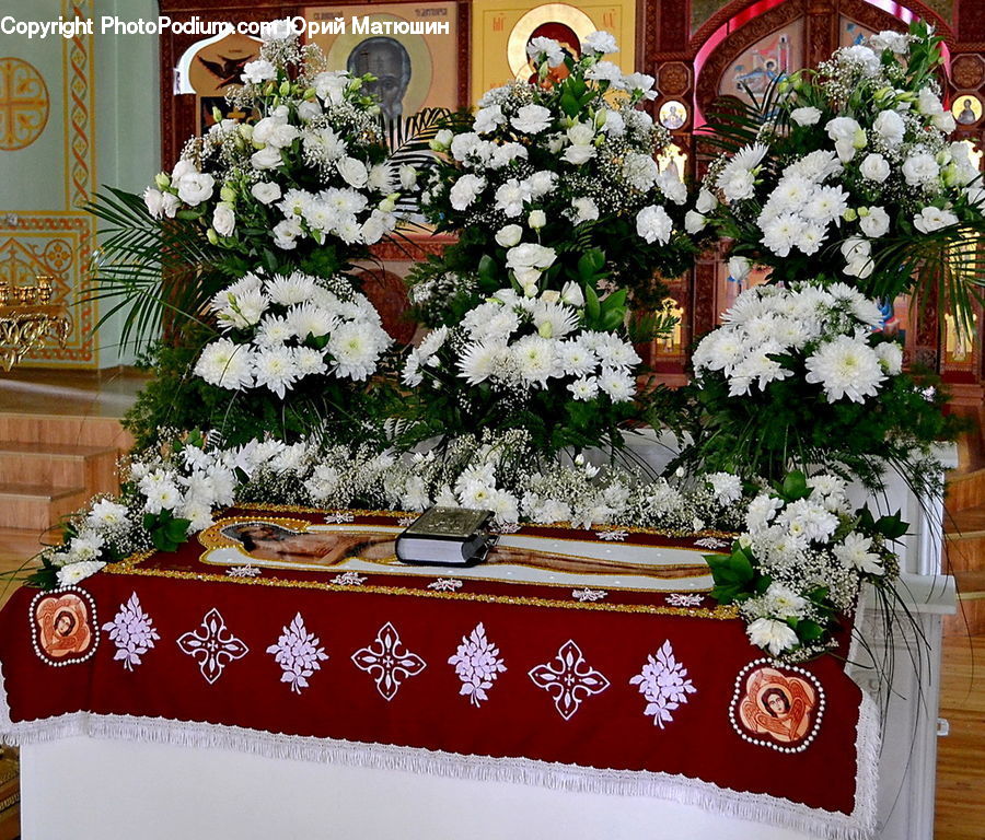 Plant, Potted Plant, Altar, Architecture, Floral Design, Flower, Flower Arrangement