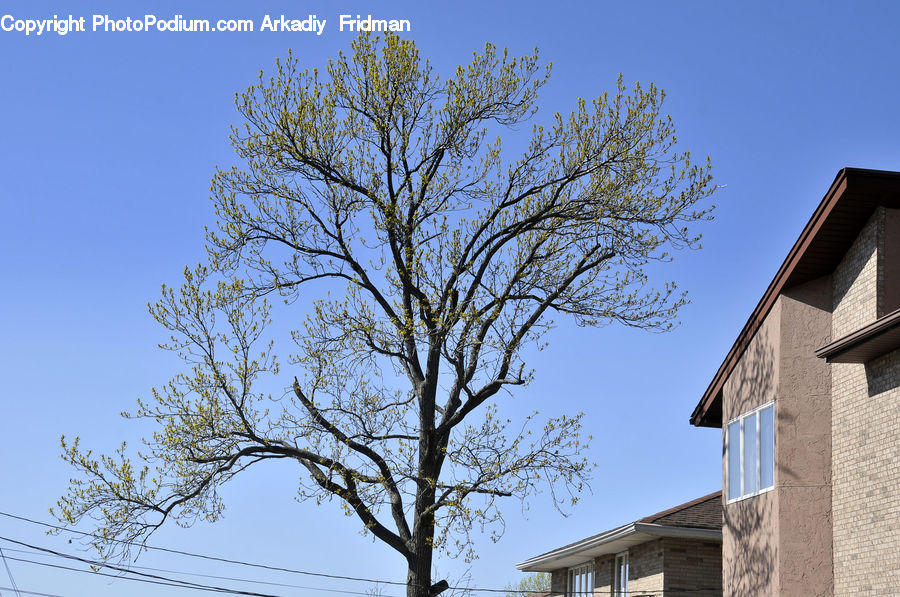 Building, Office Building, Housing, Architecture, Bell Tower, Clock Tower, Tower