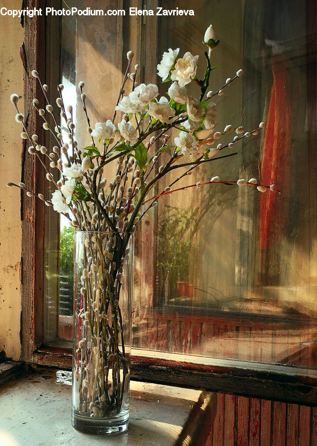 Plant, Potted Plant, Cup, Jar, Porcelain, Vase, Flower Arrangement