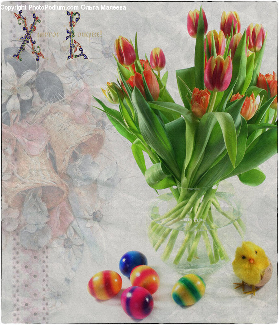 Ball, Sphere, Blossom, Flora, Flower, Plant, Tulip