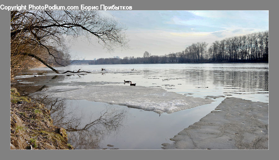 Flood, Landscape, Nature, Scenery