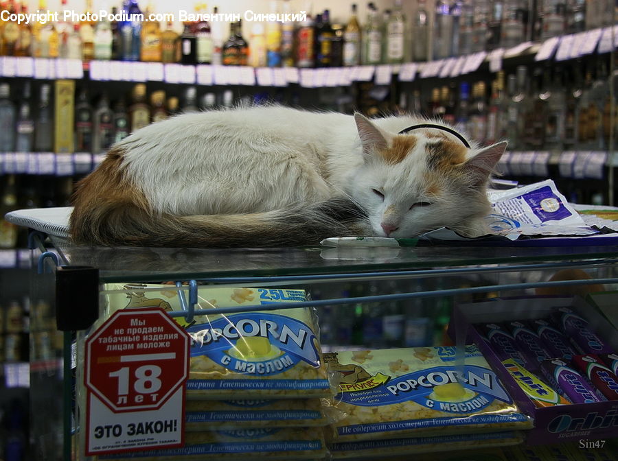 Shop, Sign