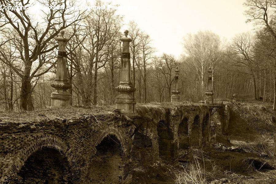Crypt, Dungeon, Forest, Grove, Land, Ruins, Vegetation