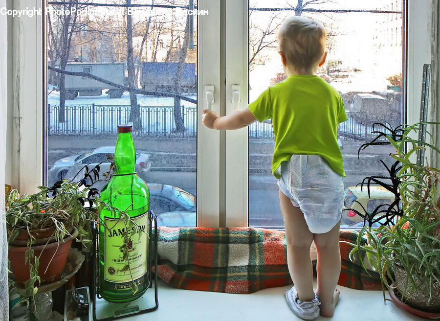 Human, People, Person, Plant, Potted Plant, Bottle, Shorts