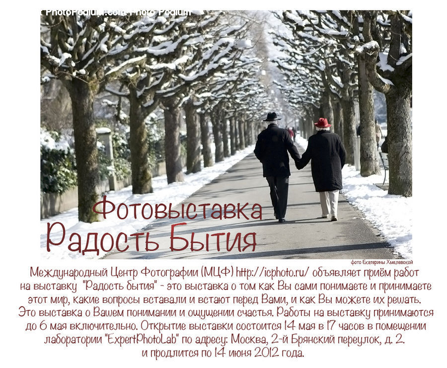Brochure, Flyer, Poster, Paper, Column, Pillar, Art