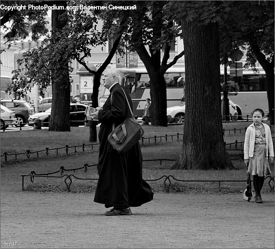 People, Person, Human, Oak, Tree, Wood, Plant