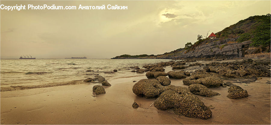 Beach, Coast, Outdoors, Sea, Water, Moss, Plant