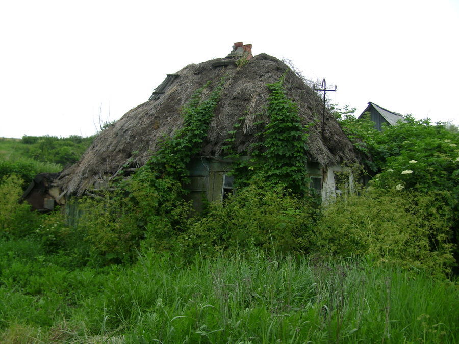 Building, Cottage, Housing, Ivy, Plant, Vine, Countryside