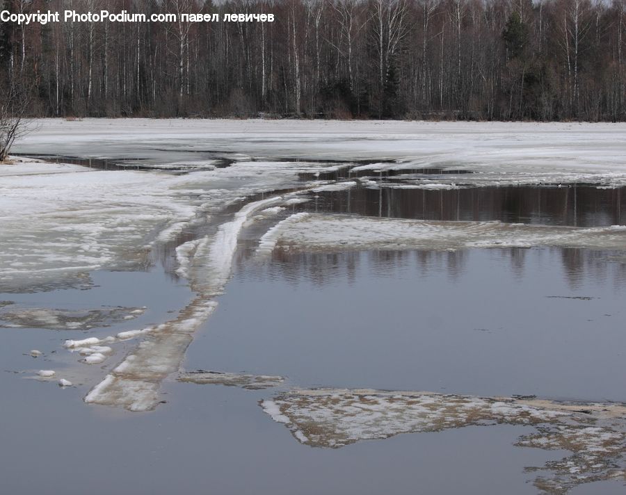Land, Marsh, Outdoors, Swamp, Water, Pond, Plant