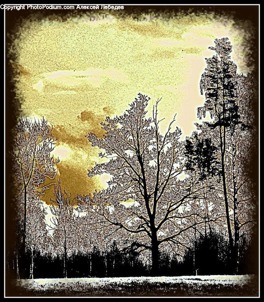 Cushion, Home Decor, Pillow, Art, Carpet, Tapestry, Blossom