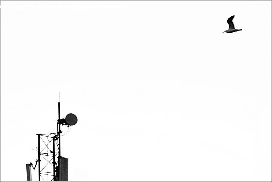 Microphone, Flying, Text