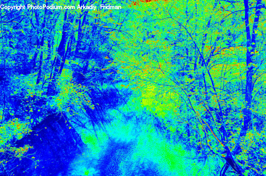 Art, Modern Art, Forest, Vegetation