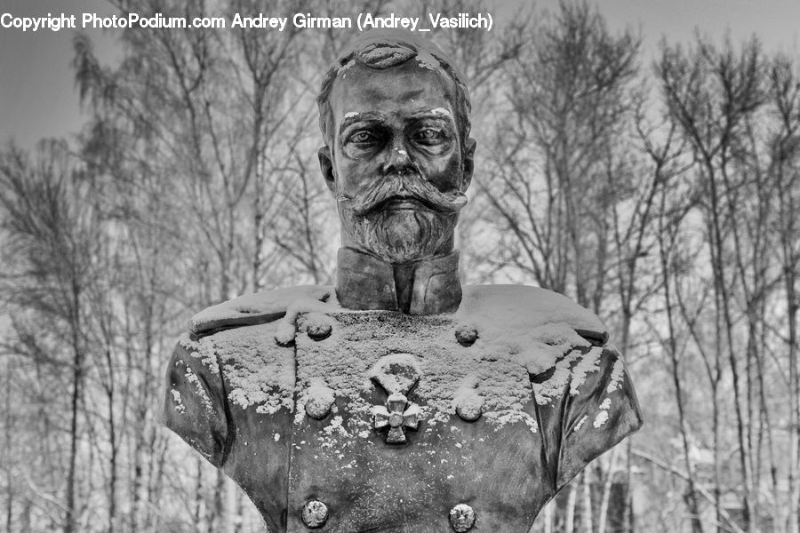 Art, Sculpture, Statue, Head, Portrait, Forest, Vegetation