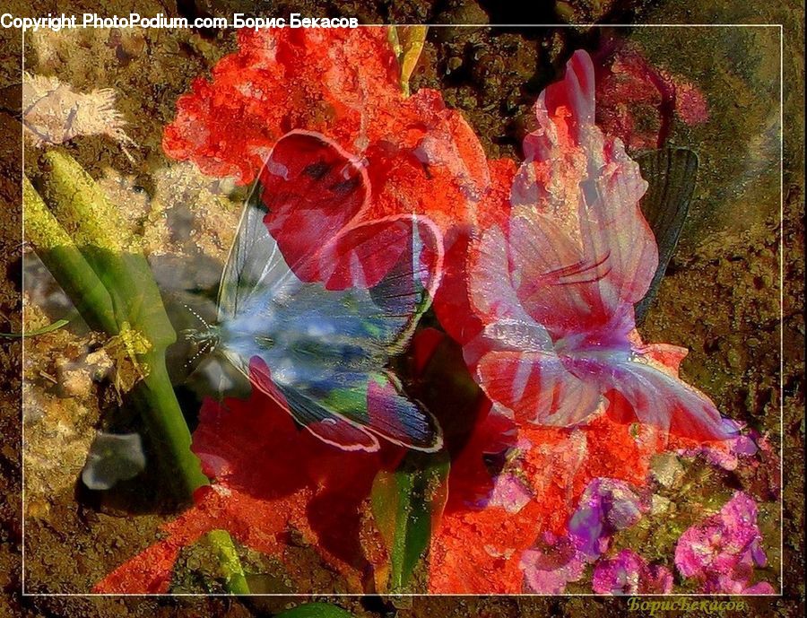 Art, Collage, Poster, Blossom, Flora, Flower, Plant