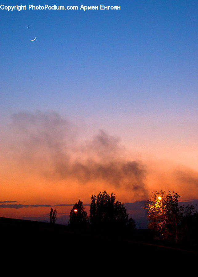 Plant, Potted Plant, Dawn, Dusk, Red Sky, Sky, Sunrise