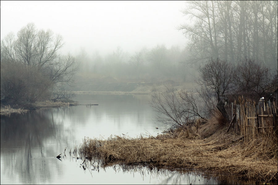 Land, Marsh, Pond, Swamp, Water, Landscape, Nature