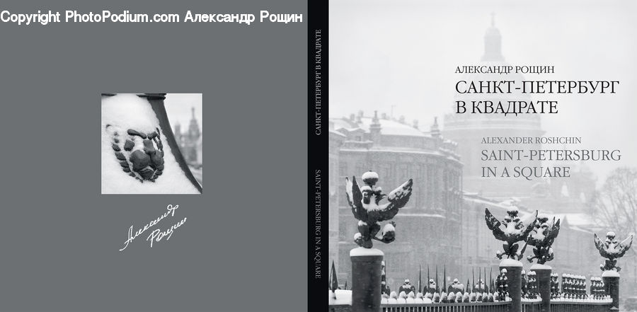 Brochure, Flyer, Poster, X-Ray, Paper, Art, Sculpture