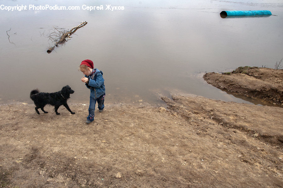 Human, People, Person, Affenpinscher, Animal, Canine, Dog