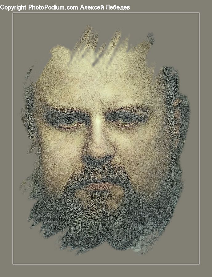 People, Person, Human, Head, Portrait, Face, Selfie