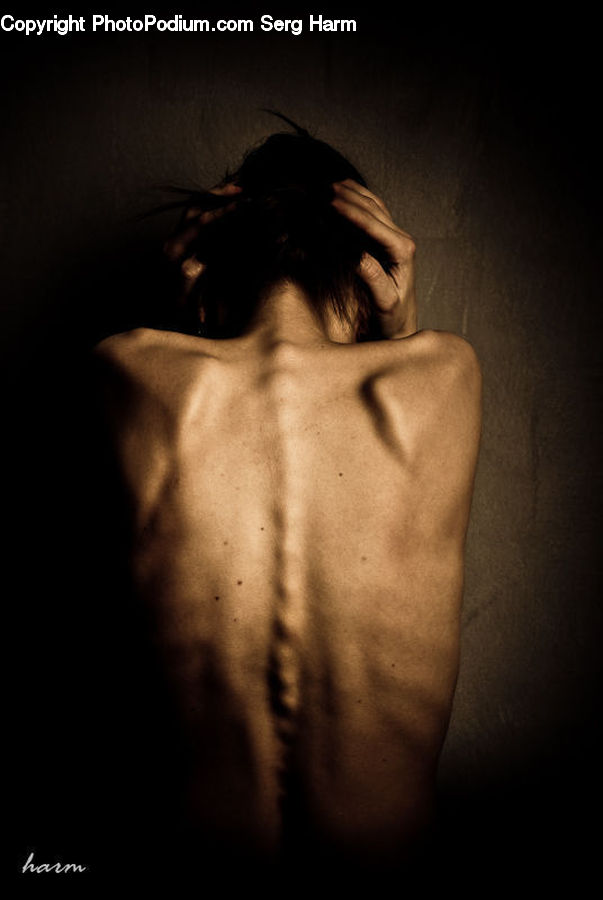 People, Person, Human, Back, Head, Portrait, Face