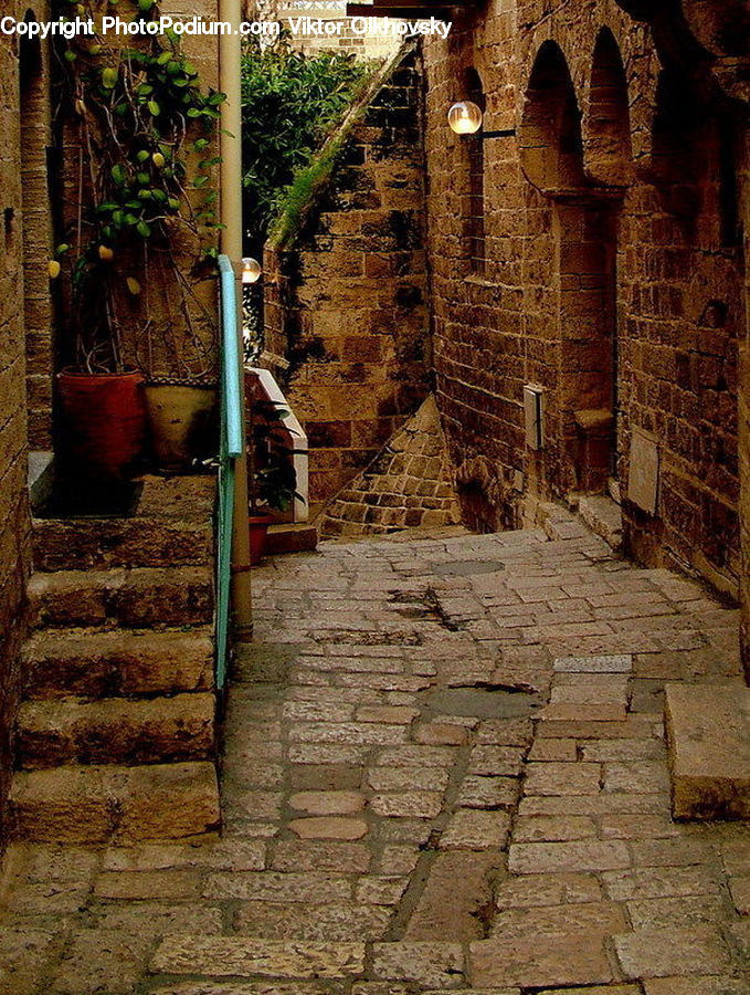 Plant, Potted Plant, Vine, Pot, Pottery, Brick, Ivy