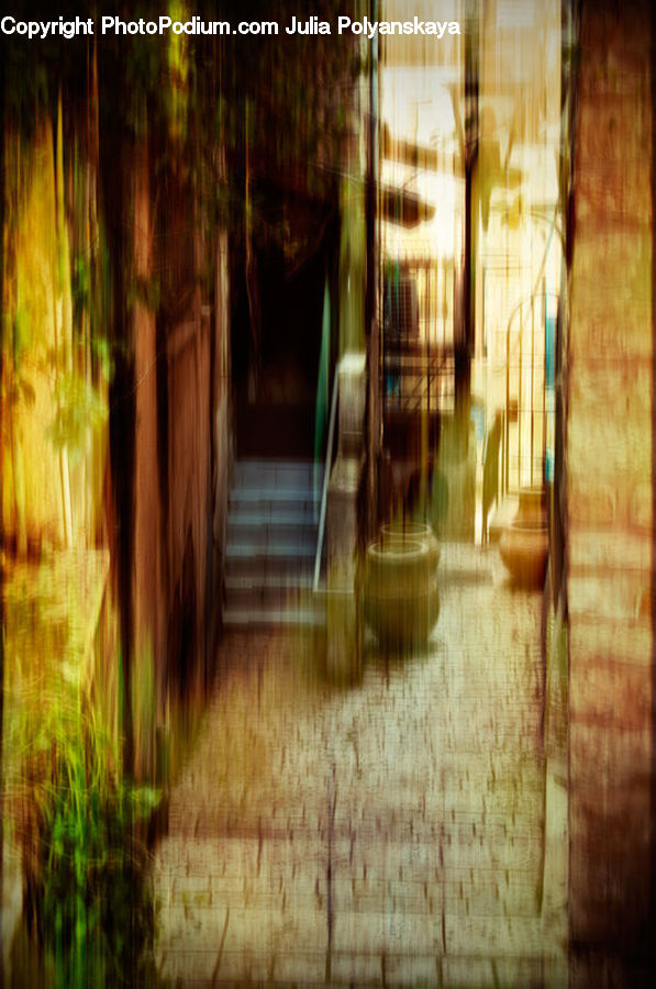 Bamboo, Plant, Wood, Grass, Reed, Corridor, Alley