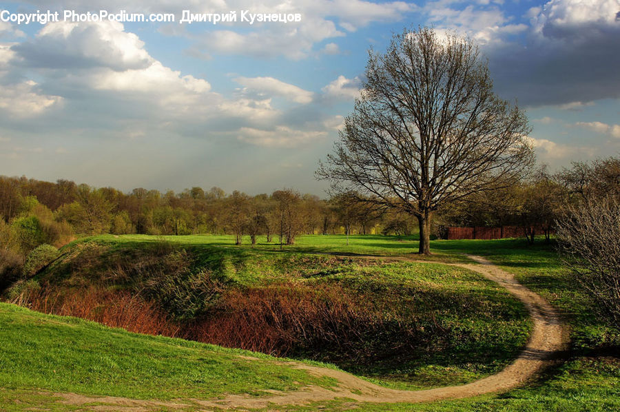 Grassland, Mound, Field, Grass, Land, Outdoors, Plant