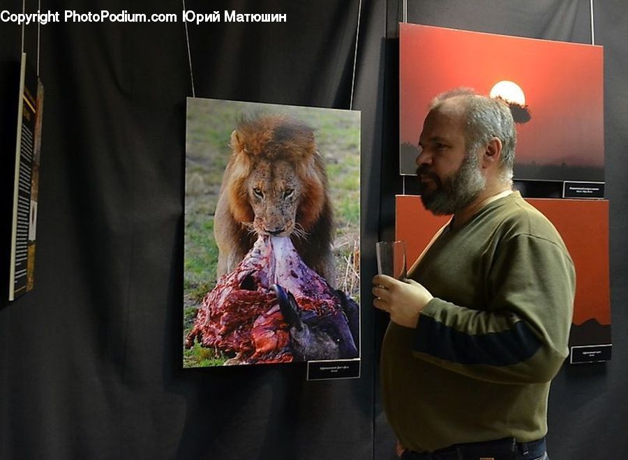 People, Person, Human, Collage, Poster, Animal, Zoo