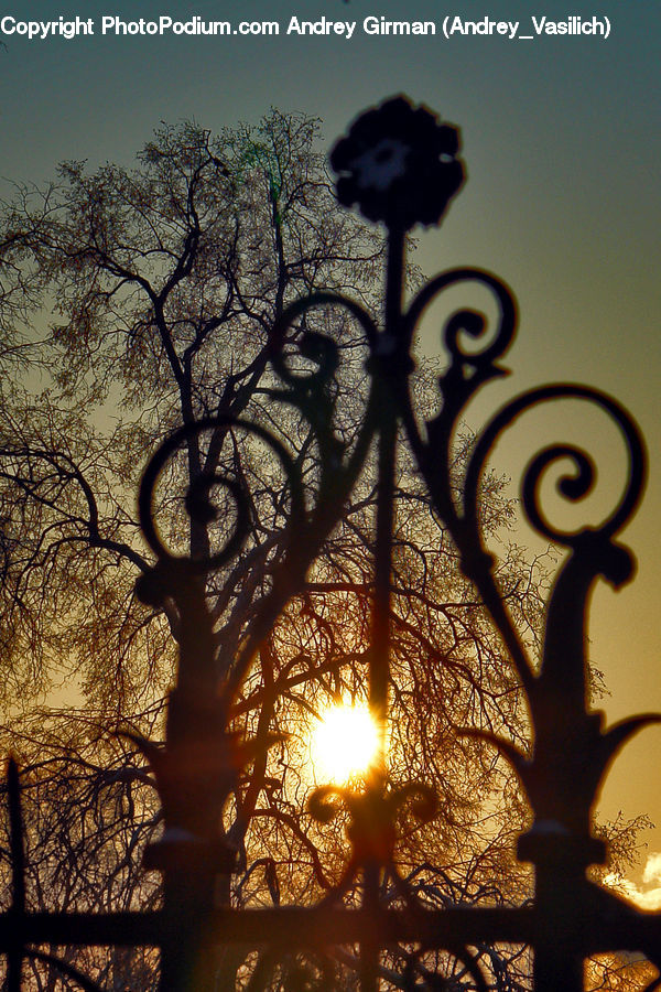 Lamp Post, Pole, Flare, Light, Sunlight, Dawn, Dusk