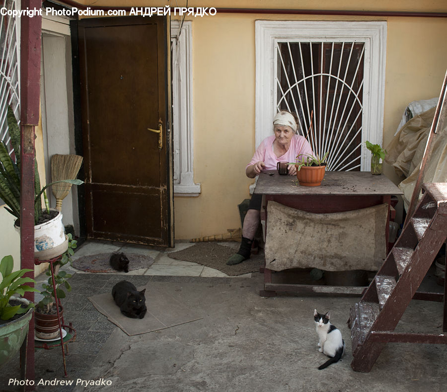 People, Person, Human, Plant, Potted Plant, Pot, Pottery