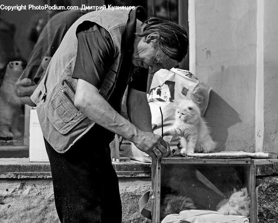 People, Person, Human, Animal, Cat, Mammal, Pet