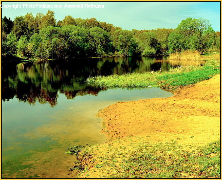 Land, Marsh, Pond, Swamp, Water, Dirt Road, Gravel