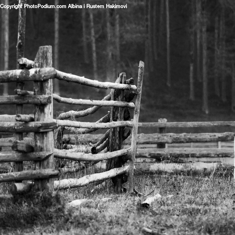 Forest, Vegetation, Fence, Grove, Land, Outdoors, Countryside