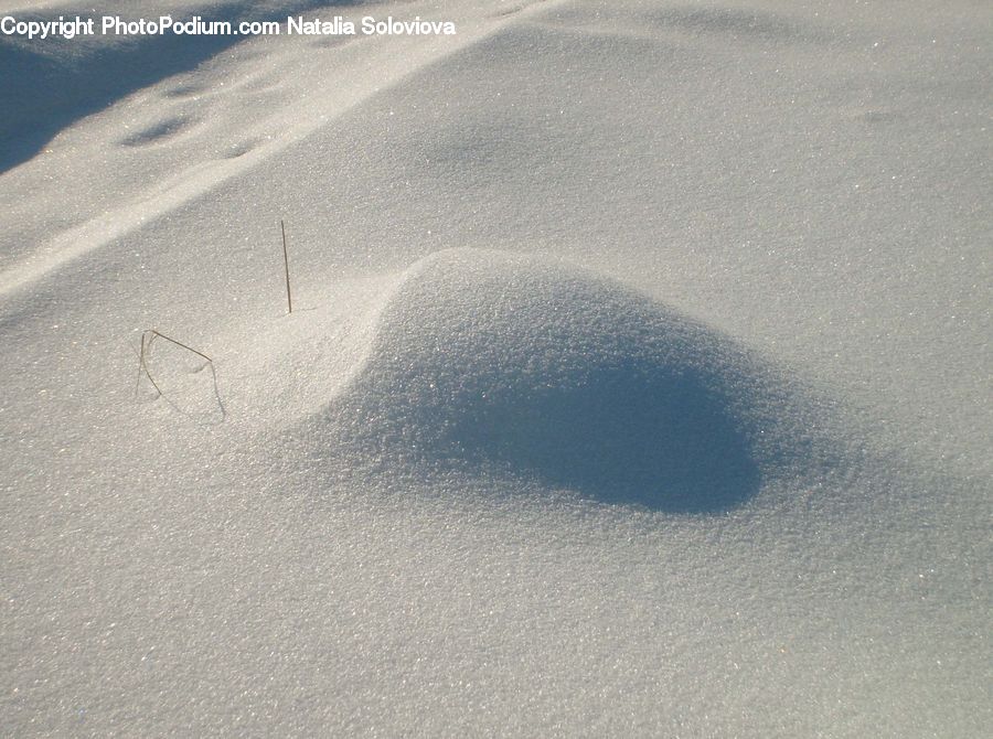 Footprint, Outdoors, Sand, Soil