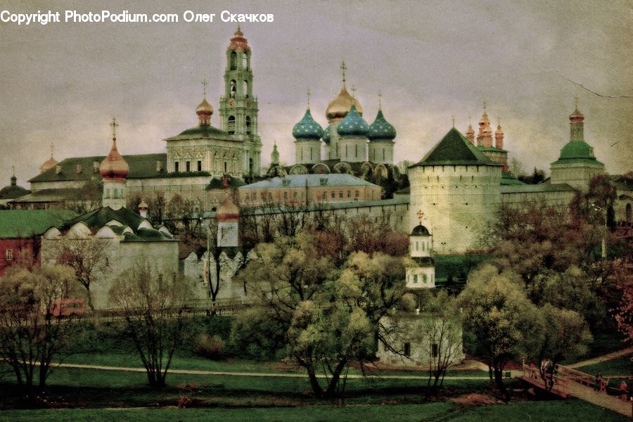Architecture, Housing, Monastery, Castle, Fort, Plant, Potted Plant