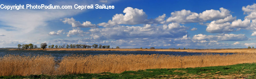 Cloud, Cumulus, Sky, Field, Grass, Grassland, Land