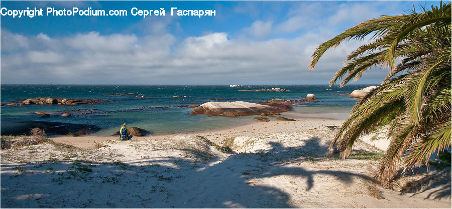 Beach, Coast, Outdoors, Sea, Water, Sand, Soil