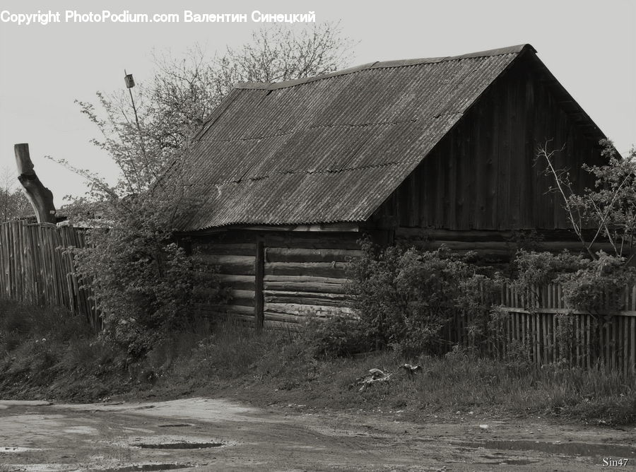 Countryside, Field, Rural, Farm, Cabin, Hut, Shack