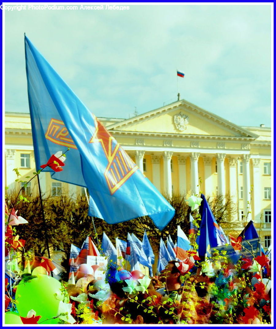 Plant, Potted Plant, Collage, Poster, Carnival, Crowd, Festival