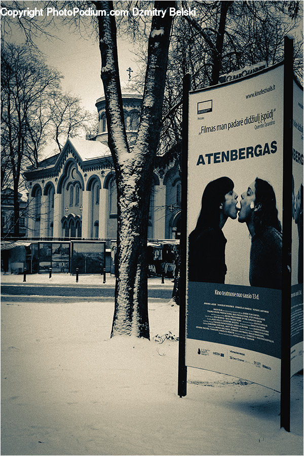 Brochure, Flyer, Poster, Campus, Silhouette