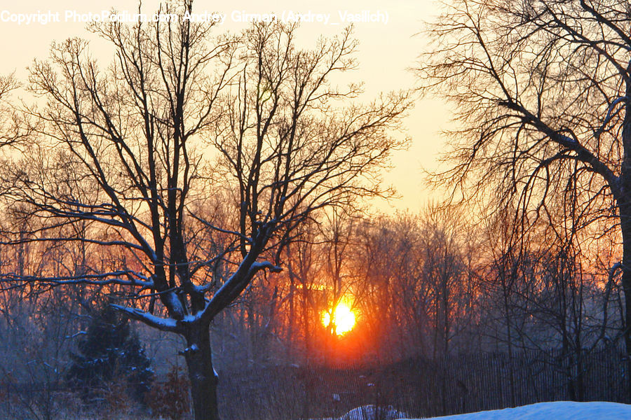 Dawn, Dusk, Sky, Sunrise, Sunset, Landscape, Nature