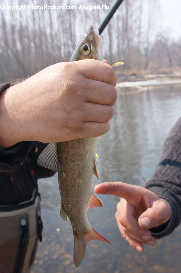 Finger, Carp, Fish, Sea Life, Trout, Ankle, Footwear